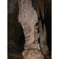 3-guajataca-state-forest-puerto-rico-2013-005