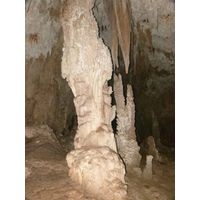 3-guajataca-state-forest-puerto-rico-2013-010