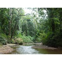 3-guajataca-state-forest-puerto-rico-2013-013