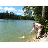 3-guajataca-state-forest-puerto-rico-2013-021