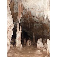 3-guajataca-state-forest-puerto-rico-2013-034