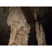 3-guajataca-state-forest-puerto-rico-2013-035