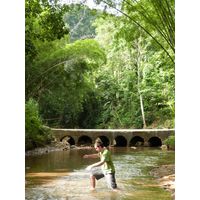 3-guajataca-state-forest-puerto-rico-2013-042
