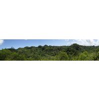 3-guajataca-state-forest-puerto-rico-2013-046