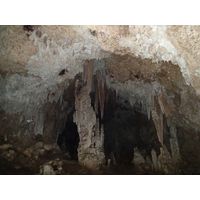 3-guajataca-state-forest-puerto-rico-2013-052