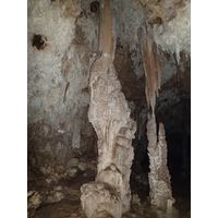 3-guajataca-state-forest-puerto-rico-2013-053
