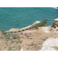 cabo-rojo-puerto-rico-2013-014
