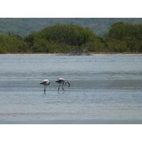 cabo-rojo-puerto-rico-2013-031