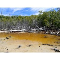 cabo-rojo-puerto-rico-2013-036