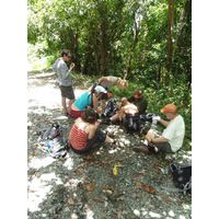 maricao-state-forest-puerto-rico-2013-008