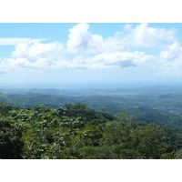 maricao-state-forest-puerto-rico-2013-012