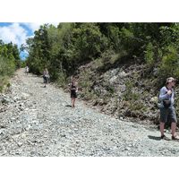 maricao-state-forest-puerto-rico-2013-020