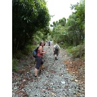 maricao-state-forest-puerto-rico-2013-025