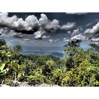 maricao-state-forest-puerto-rico-2013-026