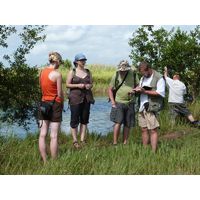 cano-de-tiburones-a-cambalache-state-forest-puerto-rico-2013-005