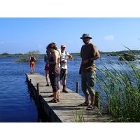 cano-de-tiburones-a-cambalache-state-forest-puerto-rico-2013-011
