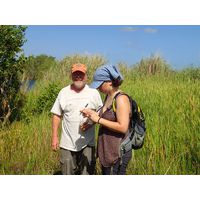 cano-de-tiburones-a-cambalache-state-forest-puerto-rico-2013-012