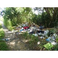 cano-de-tiburones-a-cambalache-state-forest-puerto-rico-2013-013