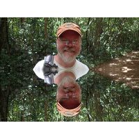 cano-de-tiburones-a-cambalache-state-forest-puerto-rico-2013-015