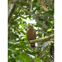 on-the-road-and-home-base-2-puerto-rico-2013-018