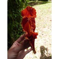 on-the-road-and-home-base-2-puerto-rico-2013-020