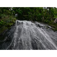 el-yunque-lowland-puerto-rico-2013-002
