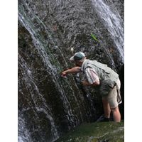el-yunque-lowland-puerto-rico-2013-003
