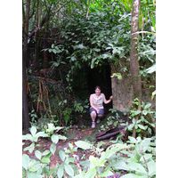 el-yunque-lowland-puerto-rico-2013-007