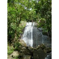 el-yunque-lowland-puerto-rico-2013-008