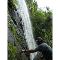 el-yunque-lowland-puerto-rico-2013-010