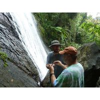 el-yunque-lowland-puerto-rico-2013-011