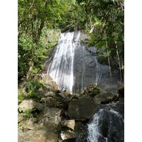 el-yunque-lowland-puerto-rico-2013-018