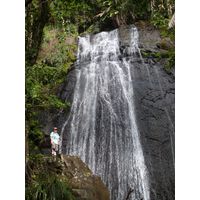 el-yunque-lowland-puerto-rico-2013-019