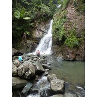 el-yunque-lowland-puerto-rico-2013-026