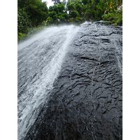 el-yunque-lowland-puerto-rico-2013-032