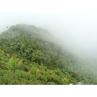 el-yunque-highland-puerto-rico-2013-011