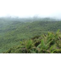 el-yunque-highland-puerto-rico-2013-029