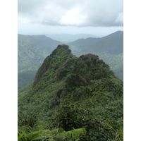 el-yunque-highland-puerto-rico-2013-031