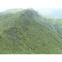 el-yunque-highland-puerto-rico-2013-034