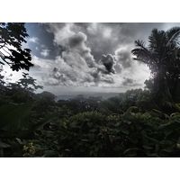 el-yunque-highland-puerto-rico-2013-041