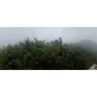 el-yunque-highland-puerto-rico-2013-045