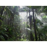 el-yunque-highland-puerto-rico-2013-050
