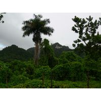 home-base-1-puerto-rico-2013-003
