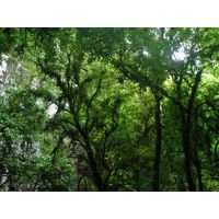 parque-de-las-cavernas-de-rio-camuy-puerto-rico-2013-001