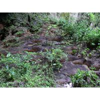 parque-de-las-cavernas-de-rio-camuy-puerto-rico-2013-003