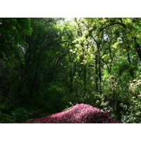 parque-de-las-cavernas-de-rio-camuy-puerto-rico-2013-004