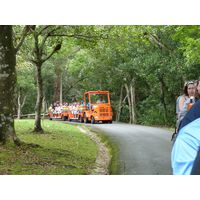 parque-de-las-cavernas-de-rio-camuy-puerto-rico-2013-011