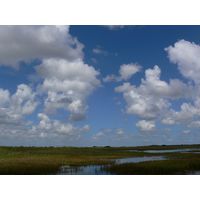 florida-2013-001