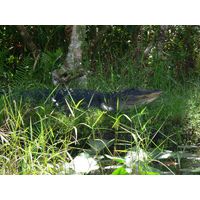 florida-2013-003