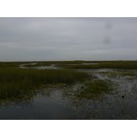 florida-2013-005
